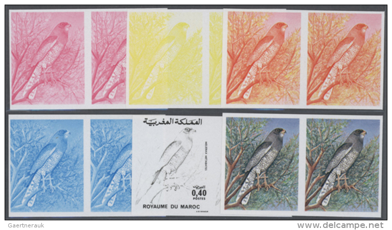 1976, Morocco. Lot Containing Progressive Proofs (6 Phases) For The 40c Value CHANTING GOSHAWK Of The Nature... - Autres & Non Classés