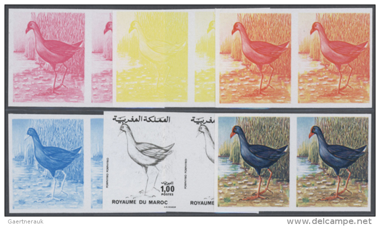 1976, Morocco. Lot Containing Progressive Proofs (6 Phases) For The 1dvalue PURPLE GALLINULE Of The Nature... - Autres & Non Classés