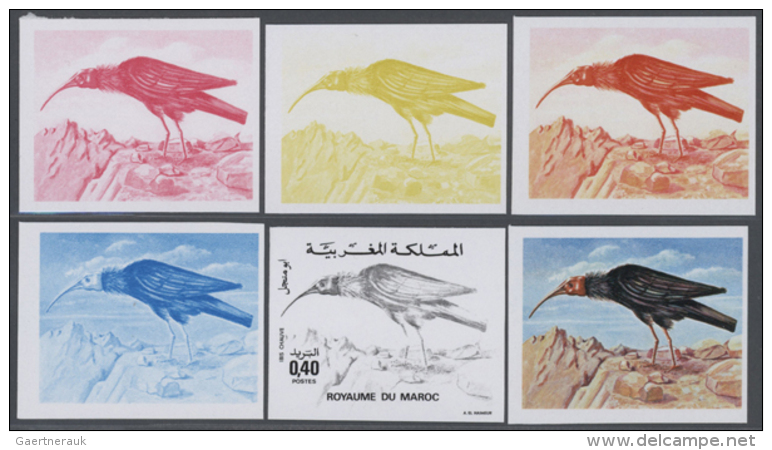 1975, Morocco. Lot Containing Progressive Proofs (6 Phases) For The 40c Value BALD IBIS Of The Nature Protection... - Autres & Non Classés