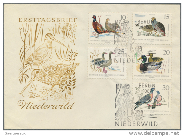 1960/2000 (approx), Various Countries. Accumulation Of 79 Items (also Multiple) Showing A Great Variety Of BIRDS... - Autres & Non Classés