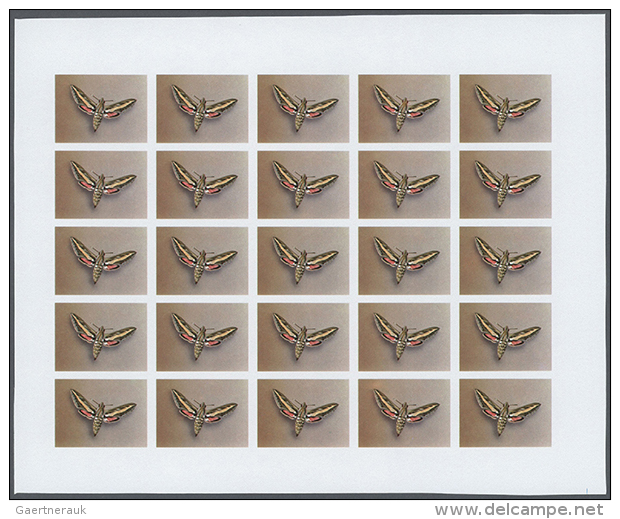 1982, Morocco. Progressive Proofs Set Of Sheets For The 1982 BUTTERFLIES Issue. The Issue Consists Of 2 Values. The... - Autres & Non Classés