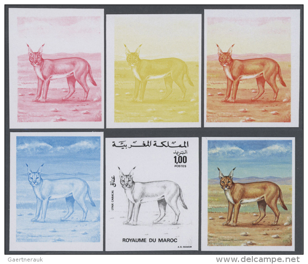1975, Morocco. Lot Containing Progressive Proofs (6 Phases) For The 1d Value PERSIAN LYNX Of The Nature Protection... - Autres & Non Classés