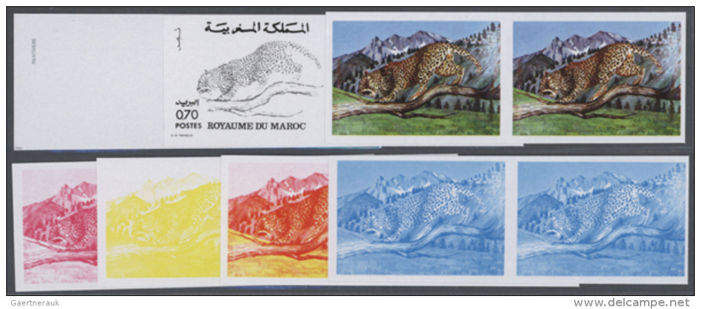 1974, Morocco. Lot Containing Progressive Proofs (7 Phases) For The 70c Value LEOPARD Of The Nature Protection Set.... - Autres & Non Classés