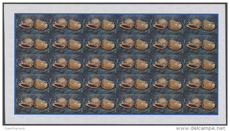 1974, Cook Islands. Progressive Proofs Set Of Sheets For The &frac12;c Value Of The SEA SHELLS Issue Showing... - Autres & Non Classés