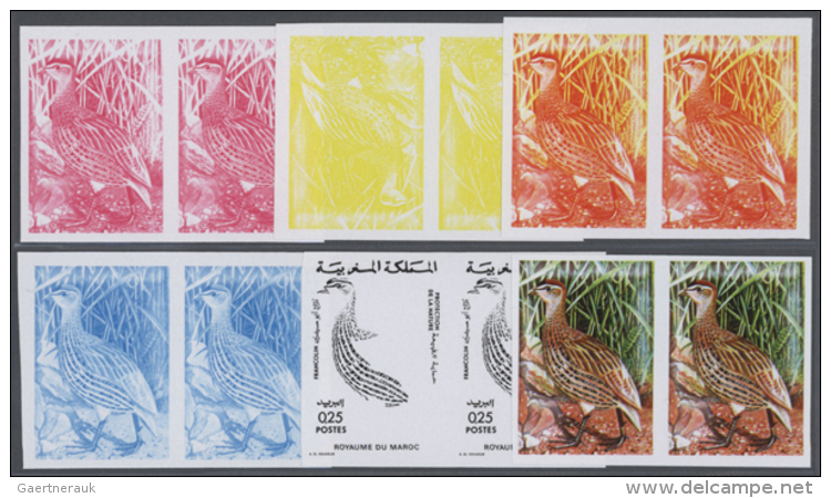 1974, Morocco. Lot Containing Progressive Proofs (6 Phases) For The 25c Value DOUBLE-SPURRED FRANCOLIN Of The... - Autres & Non Classés