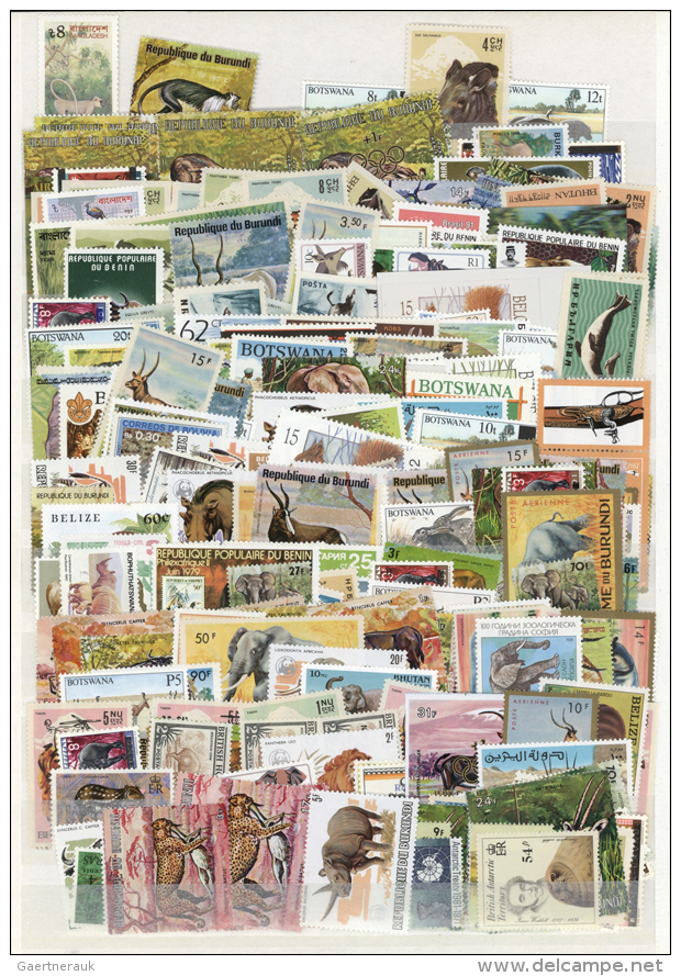 1920/1990 (ca.), WILDLIFE, Comprehensive Collection/accumulation Of Apprx. 1.500/2.000 Stamps (estimation) In Two... - Autres & Non Classés