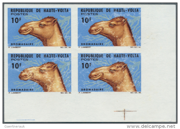 1970/2006 (ca.), Assortment Of 36 Positions Incl. Specialities (imperfs., Proofs, Epreuve) On Presentation Cards.... - Autres & Non Classés