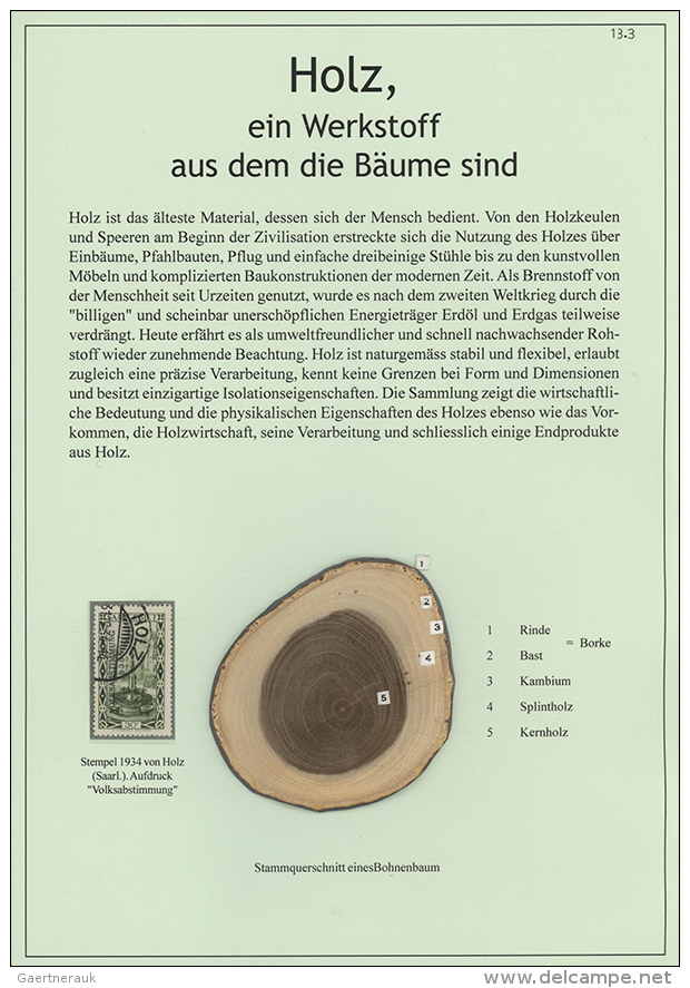 Ab 1835: "HOLZ, Ein Werkstoff Aus Dem Die B&auml;ume Sind": Umfangreiche Und Spezialisierte Hochpr&auml;miert... - Non Classés