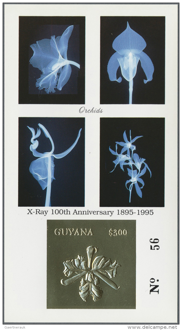 1990/2000 (ca.), Assortment Of 100 Positions Incl. Specialities On Presentation Cards. Retail Price $2389. (D) - Autres & Non Classés