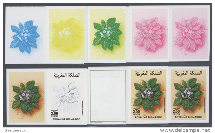 1986, Morocco. Progressive Proofs (8 Phases) For The 2d Value "Mandragora Autumnalis" Of The Flower Series. There... - Autres & Non Classés