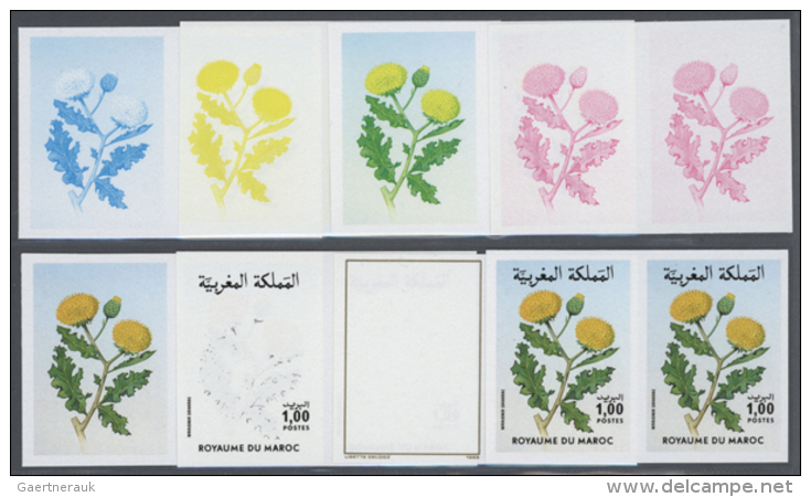 1986, Morocco. Progressive Proofs (8 Phases) For The 1d Value "Warionia Saharae" Of The Flower Series. There Are... - Autres & Non Classés