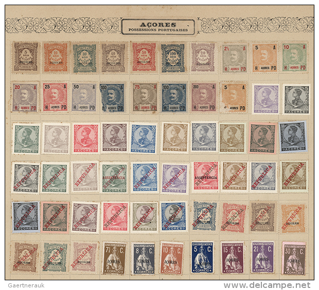 1890's/1910's: Old Collection Of More Than 500 Mint Stamps On Album Leaves, From Angola, Azores, Cape Verde, Port.... - Açores