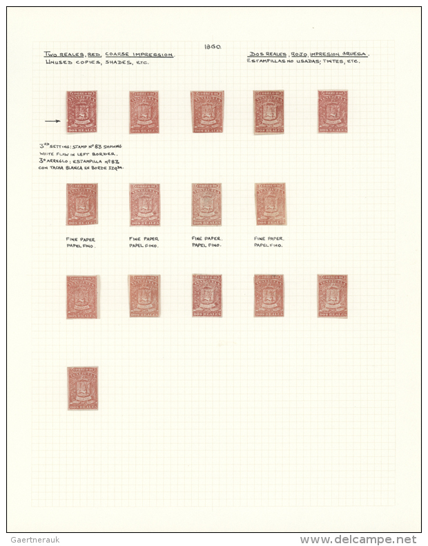 1859/1860, Specialised Collection Of The 2r. Red Coarse Impression, Neatly Mounted On Written Up Pages, Comprising... - Venezuela