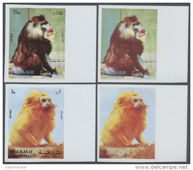 1972, Monkeys, 20, 25, 75 Dh. And 1 R., 4 Values (Mi. # 1012/1015), Each Imperforated (10) And Imperforated Without... - Sharjah