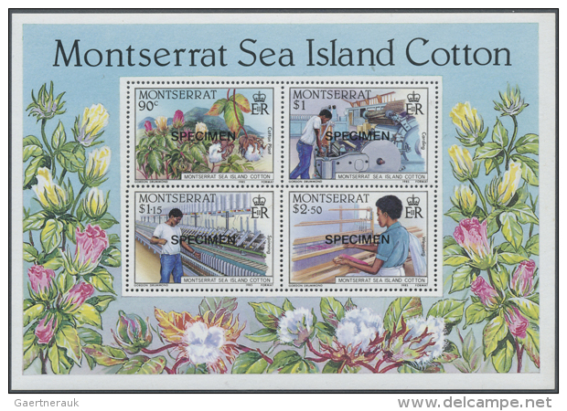 1985/1986. Lot Of 500 Souvenir Sheets "Cotton Industry" Containing 4 Stamps Each With Specimen Overprint (Sc #572a)... - Montserrat