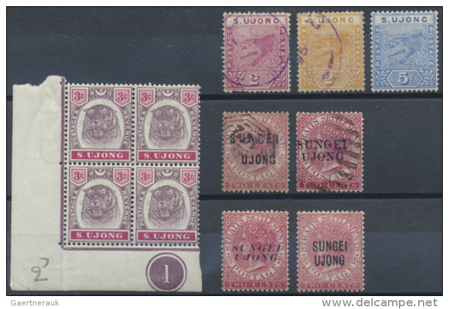 1882/1900 (ca.), Lot Of 26 (mainly Mint) Stamps, Incl. SG 13, Nice Range Of Overprints On 2c. Pale Rose Etc. (R) - Malaysia (1964-...)