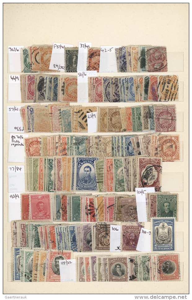 1890/1990 (ca.), Used And Mint Collection/accumulation, Neatly Sorted On Stockpages With Many Interesting Items And... - Bolivie