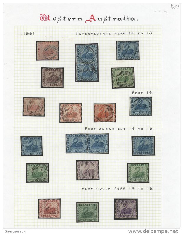 1861/1864, Specialised Collection Of The Perforated "Swan" Issues, Neatly Arranged On Written Up Pages, Showing The... - Neufs