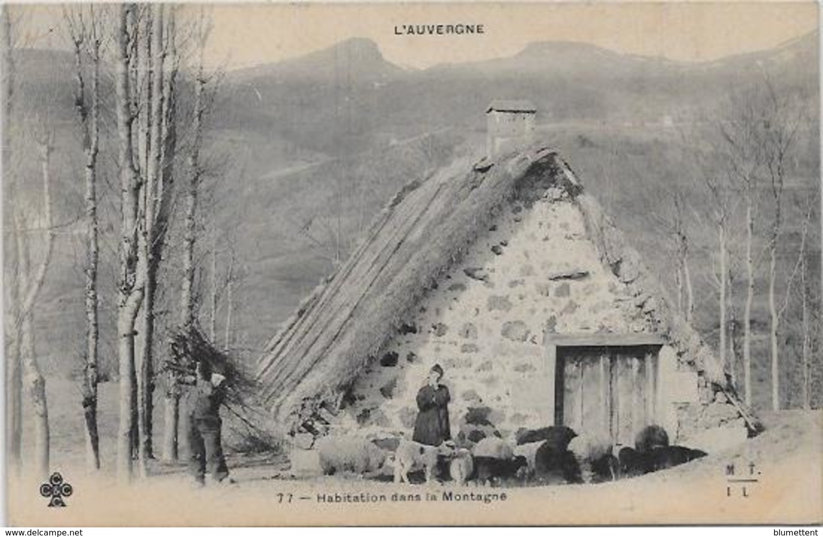 CPA Auvergne Métier Type Non Circulé Moutons Métier - Auvergne