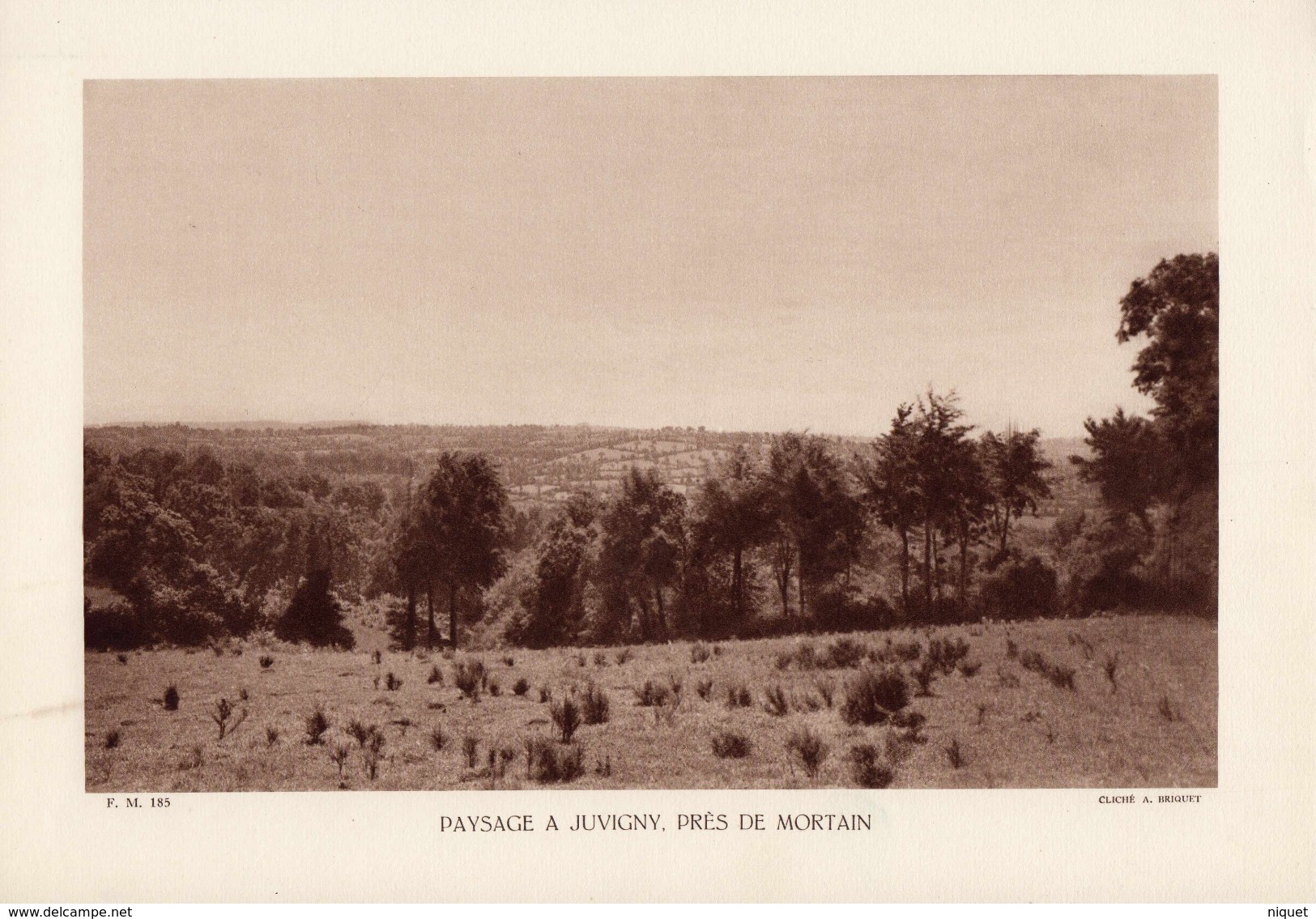 MANCHE, PAYSAGE A JUVIGNY, PRES DE MORTAIN, Planche Densité = 200g, Format 20 X 29 Cm, (A. Briquet) - Géographie