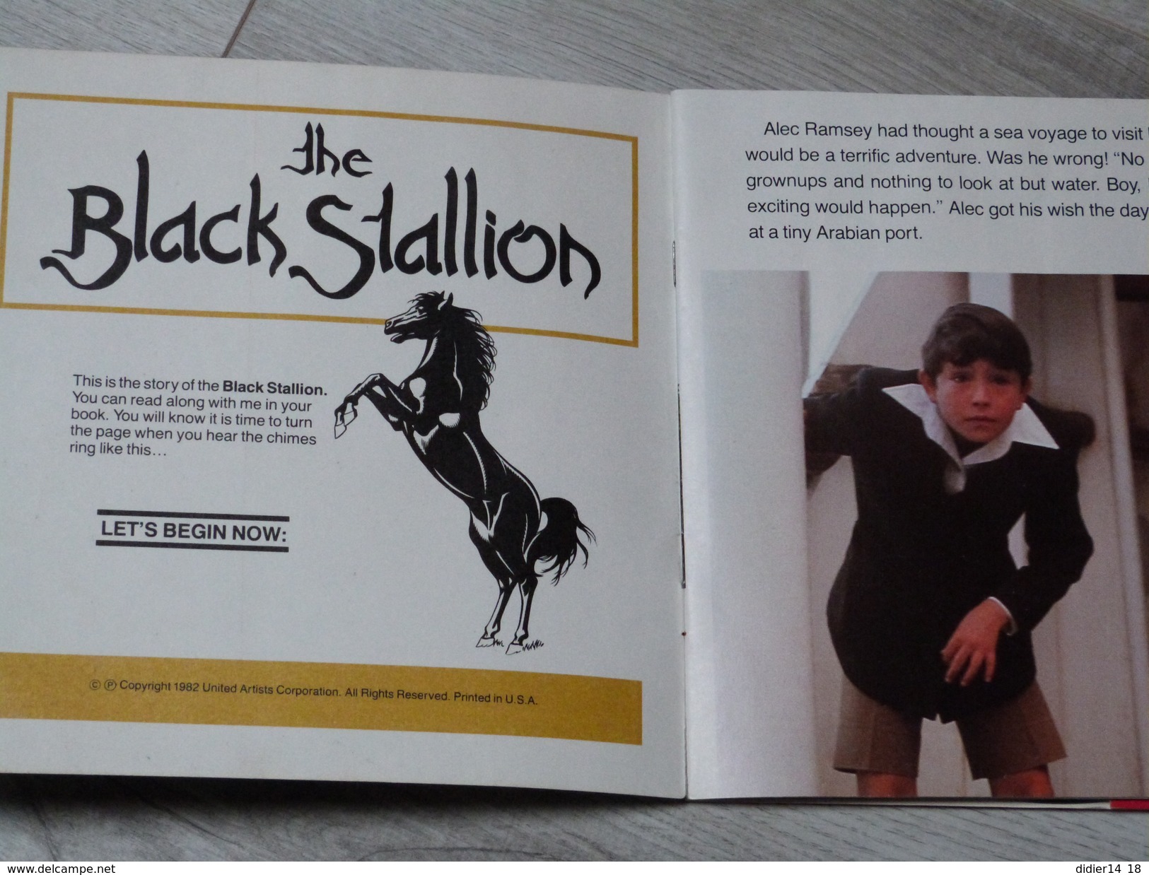 LIVRE DISQUE 45 TOURS.THE BLACK STALLION. DISNEYLAND. 25 PAGES.1982. - Autres & Non Classés