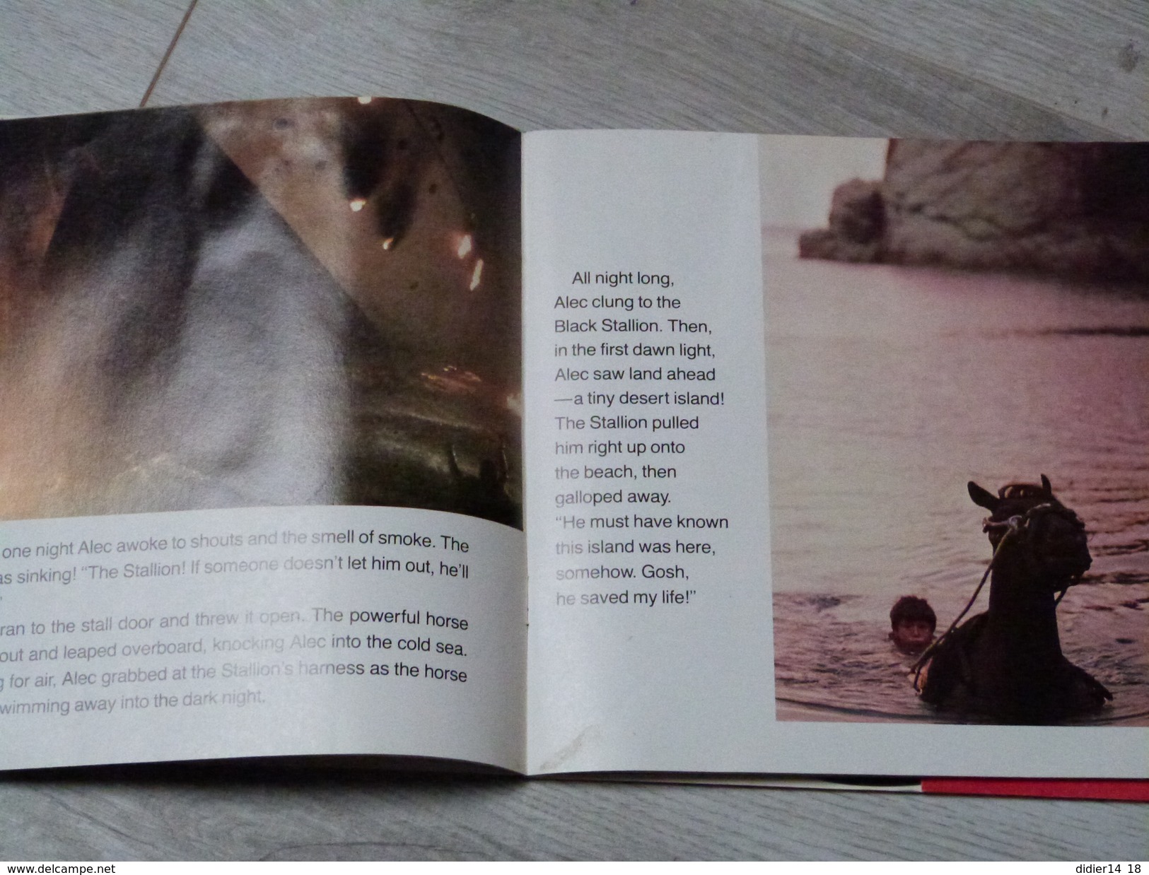 LIVRE DISQUE 45 TOURS.THE BLACK STALLION. DISNEYLAND. 25 PAGES.1982. - Autres & Non Classés