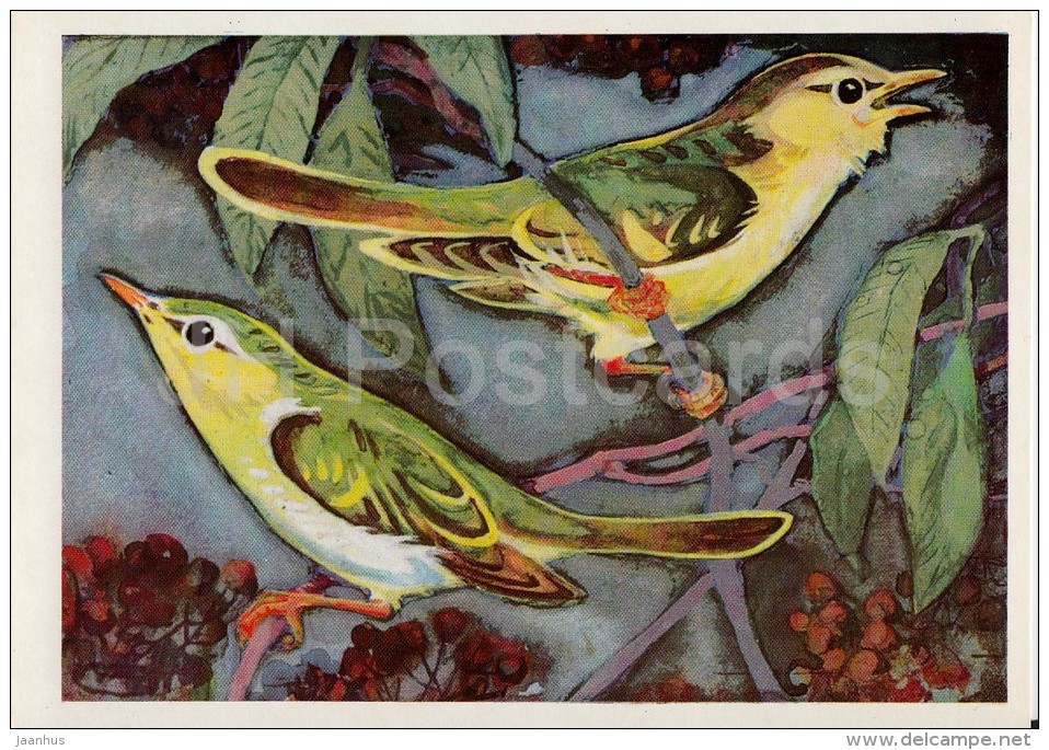 Common Chiffchaff - Phylloscopus Collybita - Birds Of Russian Forest - 1979 - Russia USSR - Unused - Oiseaux