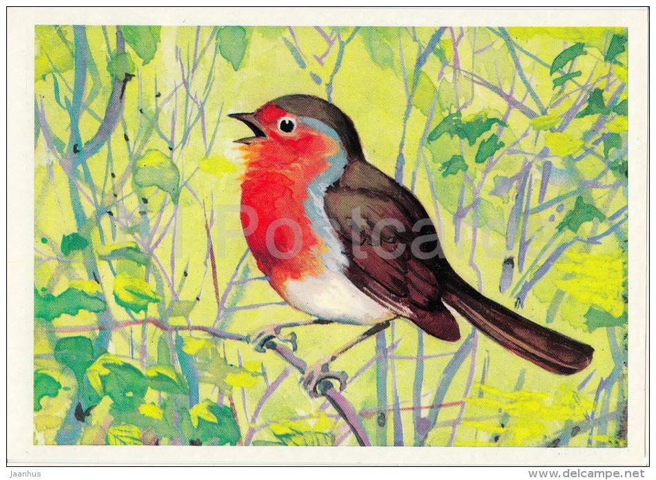 European Robin - Erithacus Rubecula - Birds Of Russian Forest - 1979 - Russia USSR - Unused - Oiseaux