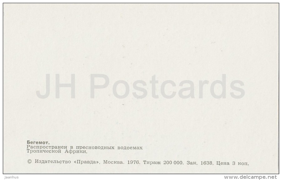 Hippopotamus - Hippopotamus Amphibius - Zoo - 1976 - Russia USSR - Unused - Ippopotami