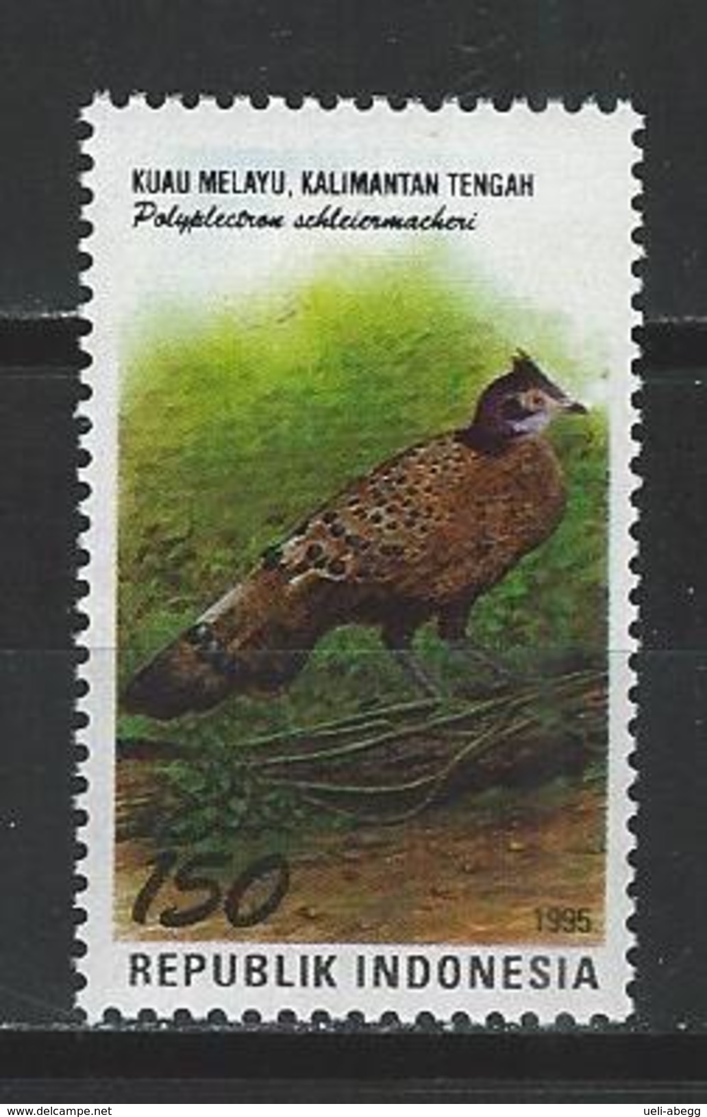 Indonesien Mi 1584 ** MNH Polyplevtron Schleichermacheri - Pfauen