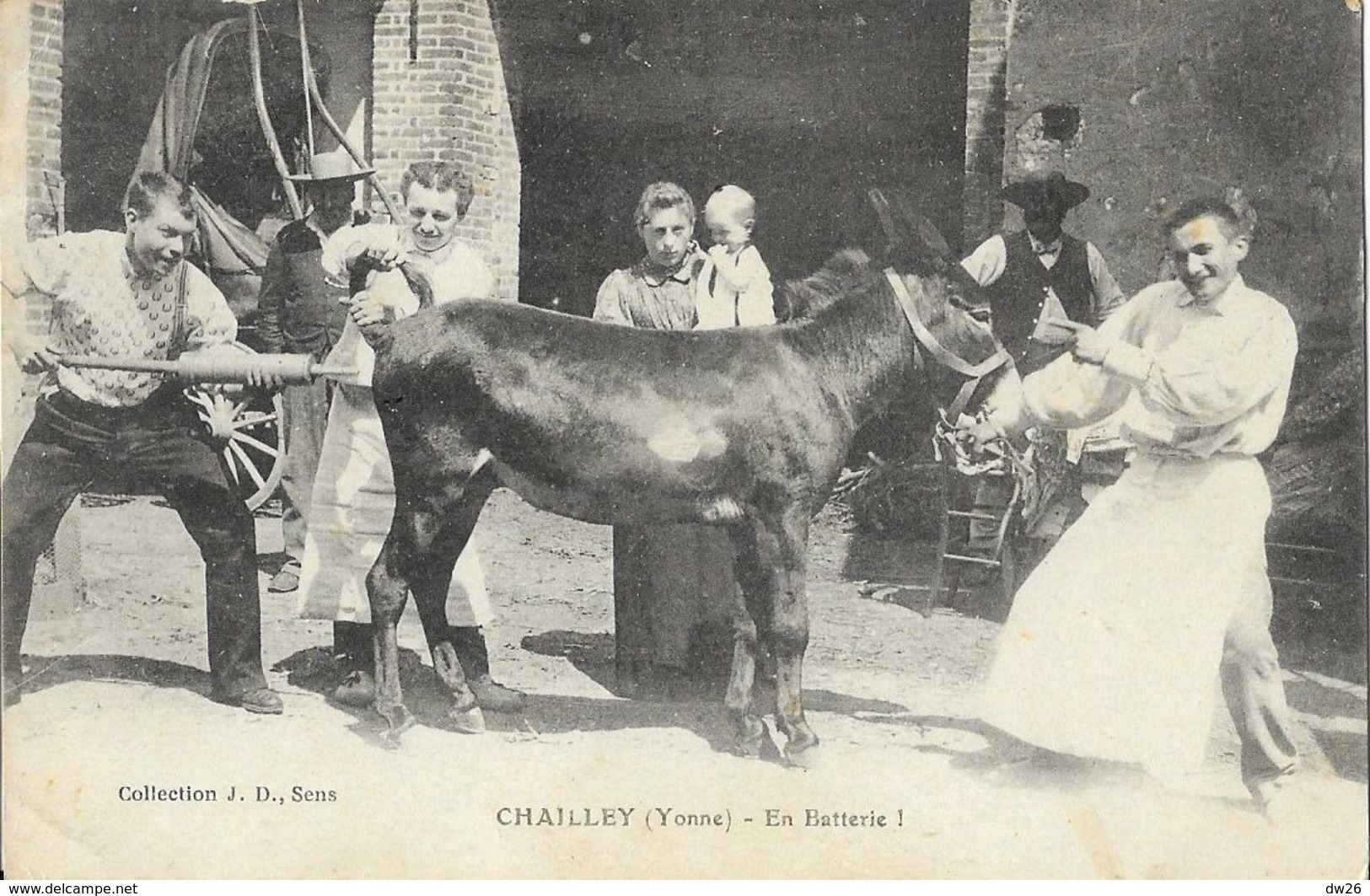 Scène Humoristique à La Ferme: Chailley (Yonne): En Batterie! (clystère Et âne) - Collection J.D. - Fermes