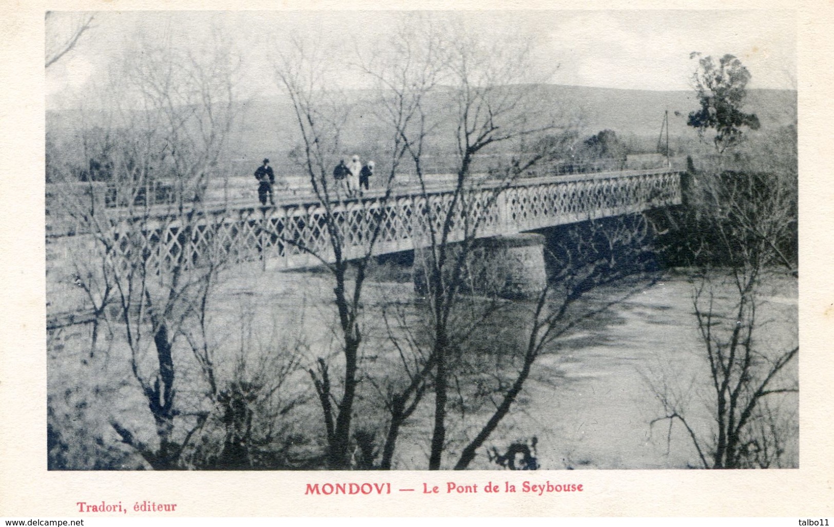 Algérie - Mondovi - Le Pont De La Seybouse - Autres & Non Classés