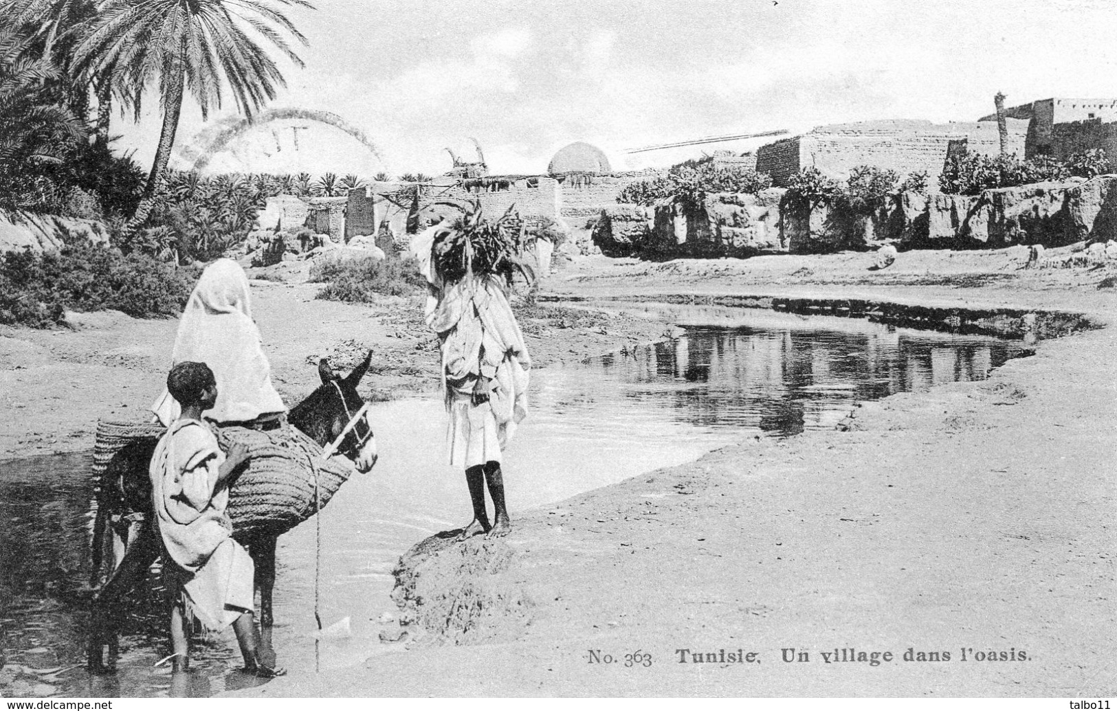 Tunisie - Un Village Dans L'oasis - Tunisie