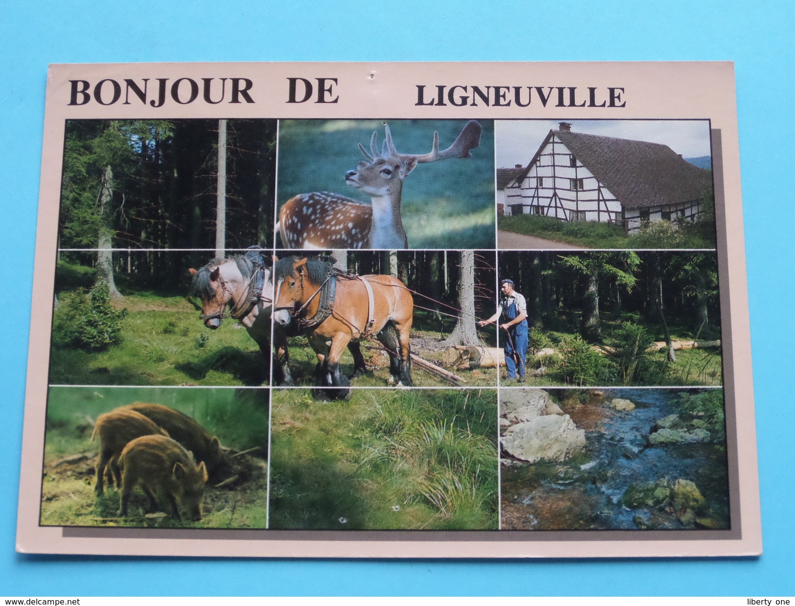 Bonjour De LIGNEUVILLE () Anno 1991 ( Zie Foto Details ) !! - Malmedy