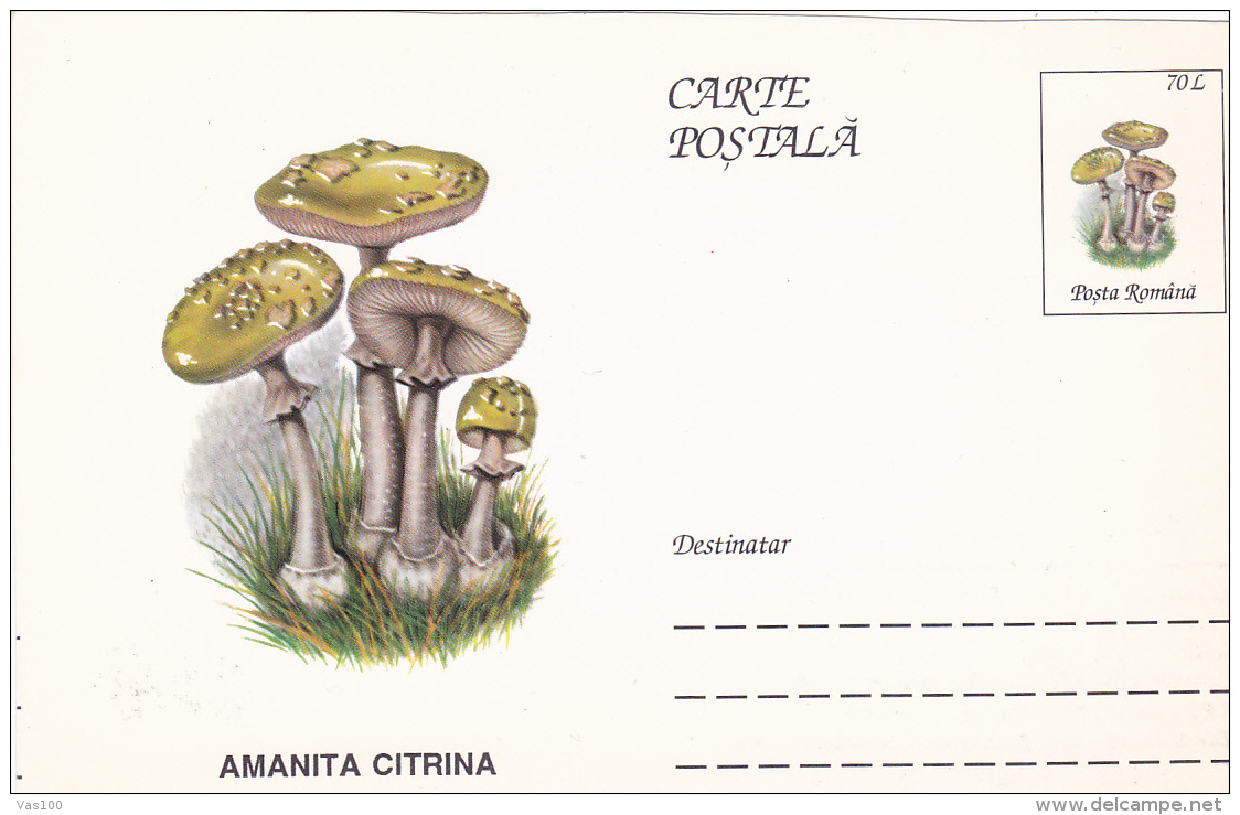 BV6794   MUSHROOMS, Shifted Picture, RARE POSTCARD STATIONERY 1996 ROMANIA. - Abarten Und Kuriositäten