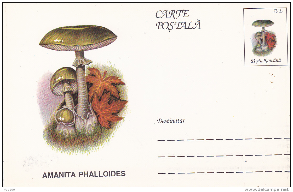 BV6795   MUSHROOMS, Shifted Picture, RARE POSTCARD STATIONERY 1996 ROMANIA. - Abarten Und Kuriositäten