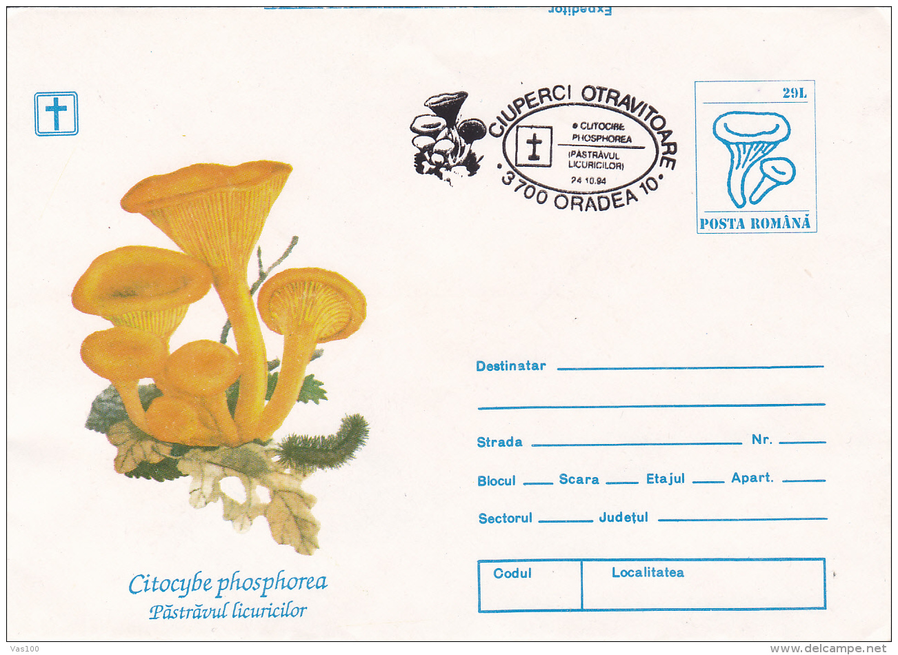 BV6796  ERROR, MUSHROOMS, Shifted Picture, RARE COVERS STATIONERY 1993 ROMANIA. - Abarten Und Kuriositäten