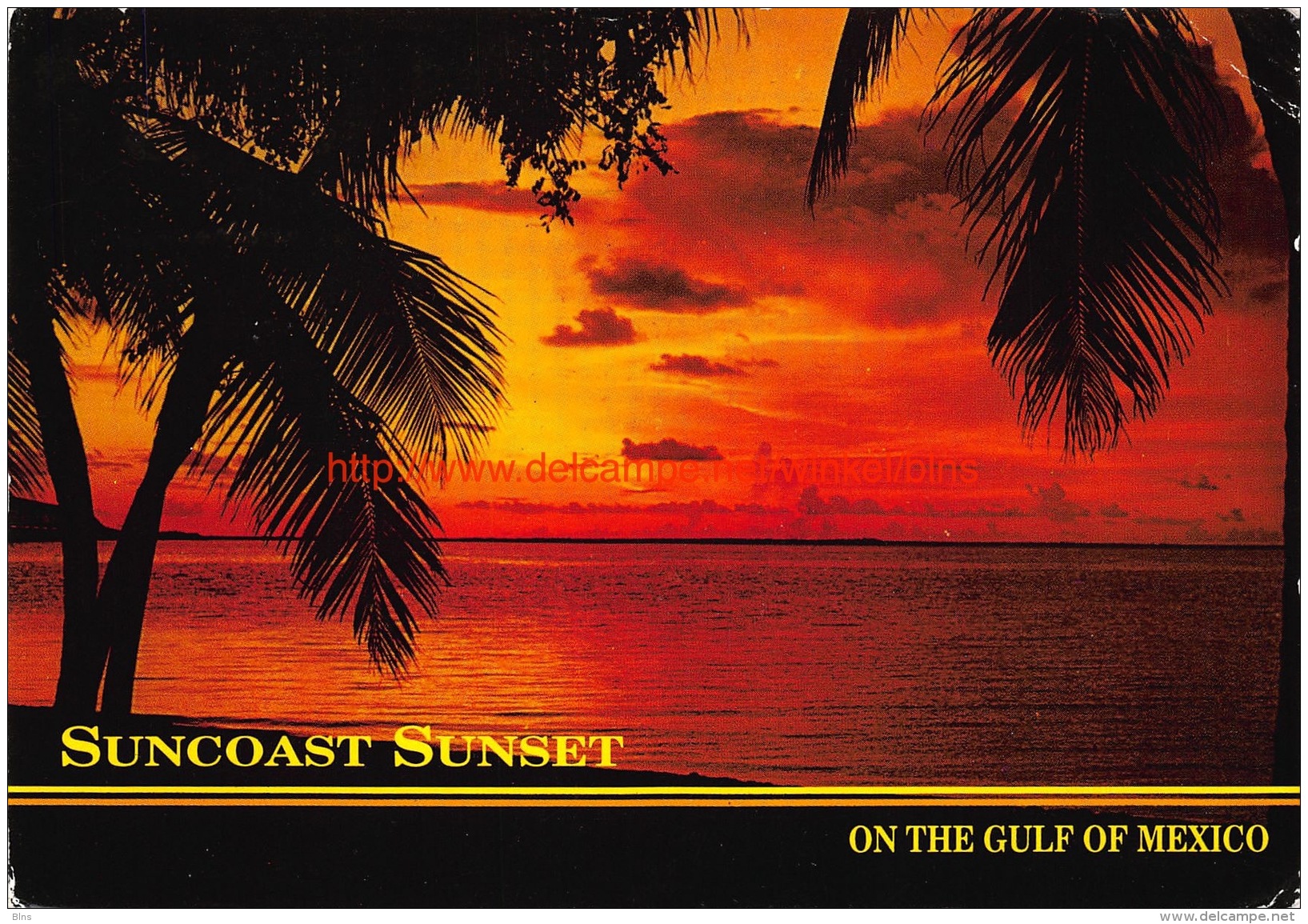 The Suncoast Of Florida - Autres & Non Classés