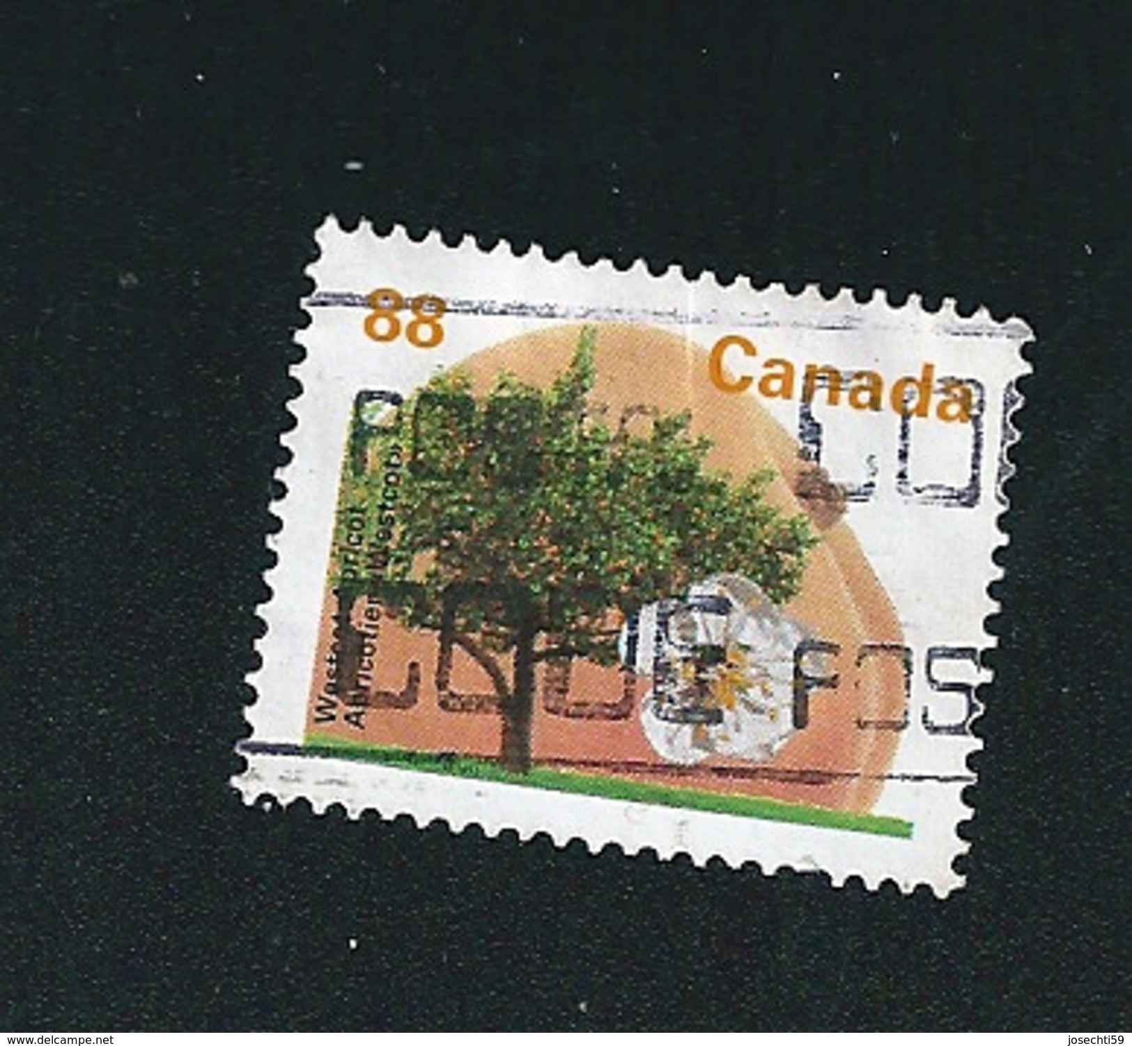 N° 1358 Abricotier Arbre   Timbre Canada (1994) Oblitéré - Used Stamps