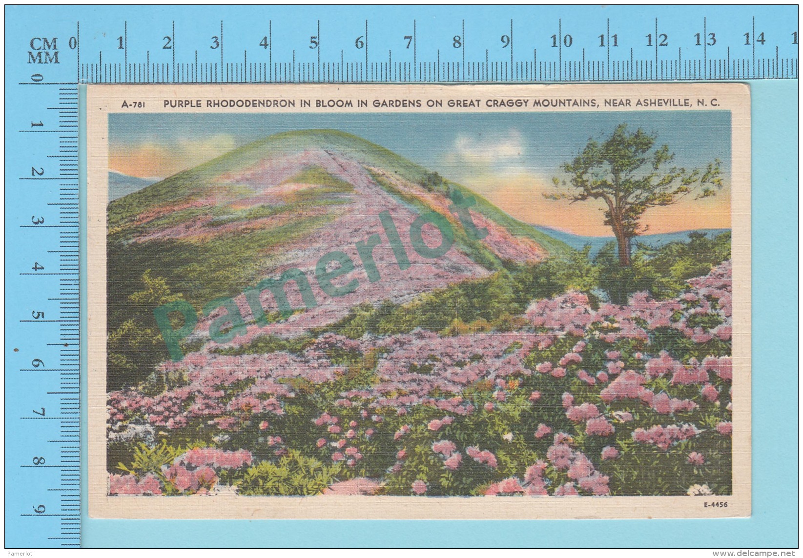 Asheville N.C.  - Linnen, Lin, 1946 Great Craggy Mountains- 2 Scans - Asheville