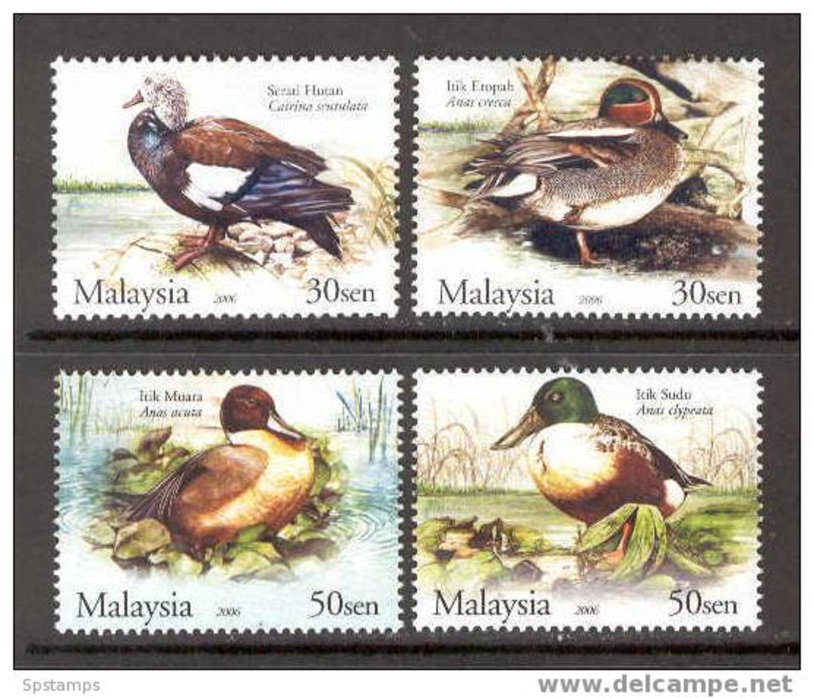 MALAYSIA 2006 Wild Ducks Species MNH (D253) - Entenvögel