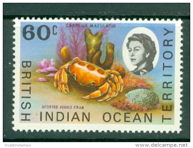 British Indian Territory (BIOT): 1968/70   QE II - Marine Life   SG23a    60c   MH - Territorio Britannico Dell'Oceano Indiano