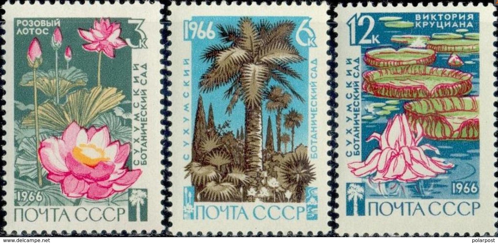 USSR, 1966 SK &#x2116; 3289-3291 Sukhumi BOTANICAL GARDEN Georgian Academy Of Sciences - Natur