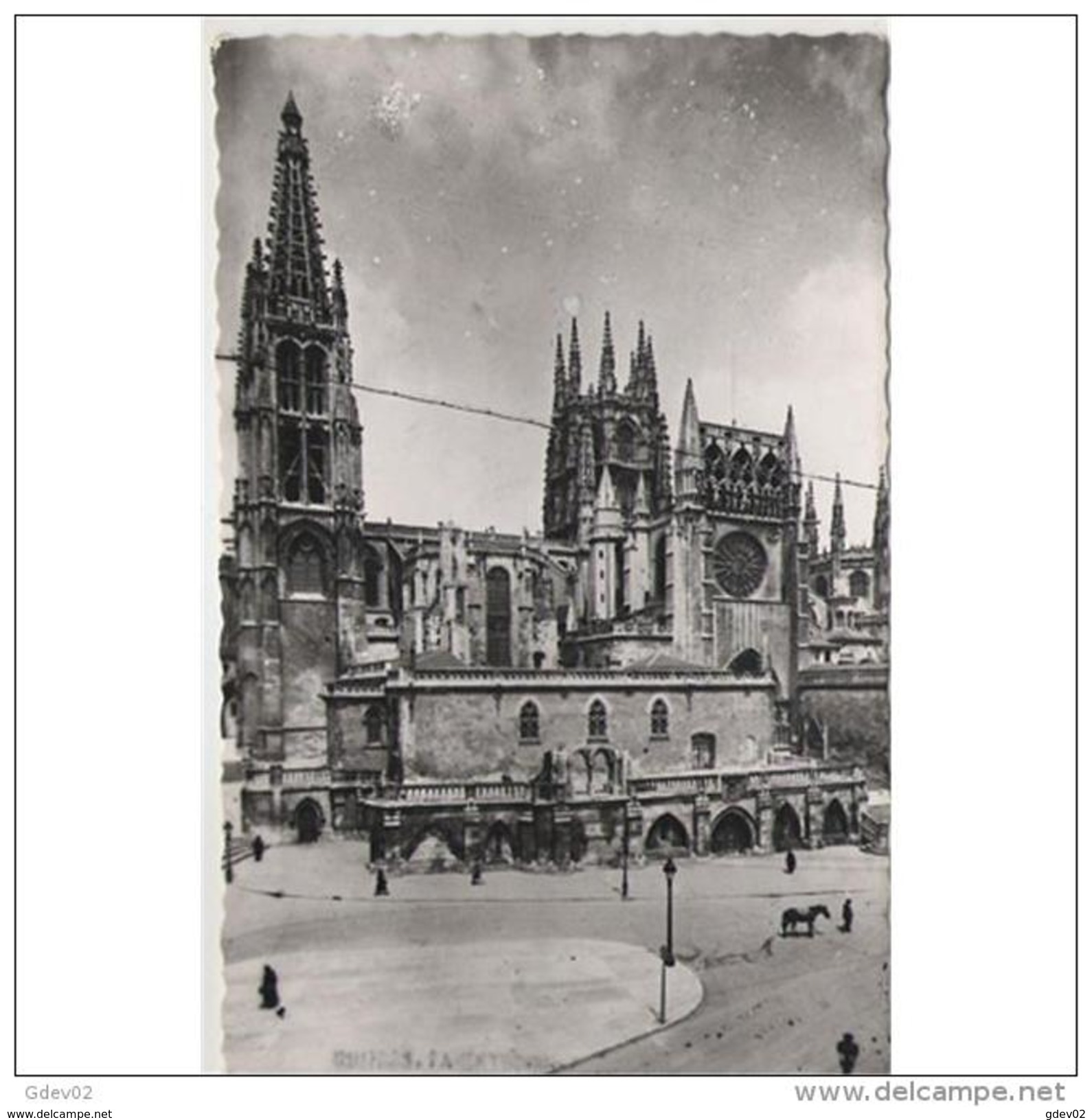 BRGTP3961CPA-LFTD4218TABU.Tarjeta Postal De BURGOS.,Edificios,animales,,catedral.SACRAMENTAL  DE BURGOS.Circulada - Burros