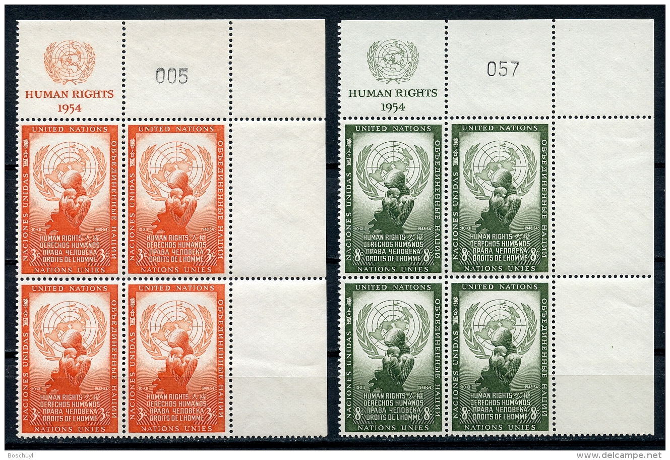 United Nations New York, 1954, Human Rights Day, UR MI4 With Control Numbers, MNH, Gaines 29-30, Michel 33-34 RZf KN - Sonstige & Ohne Zuordnung