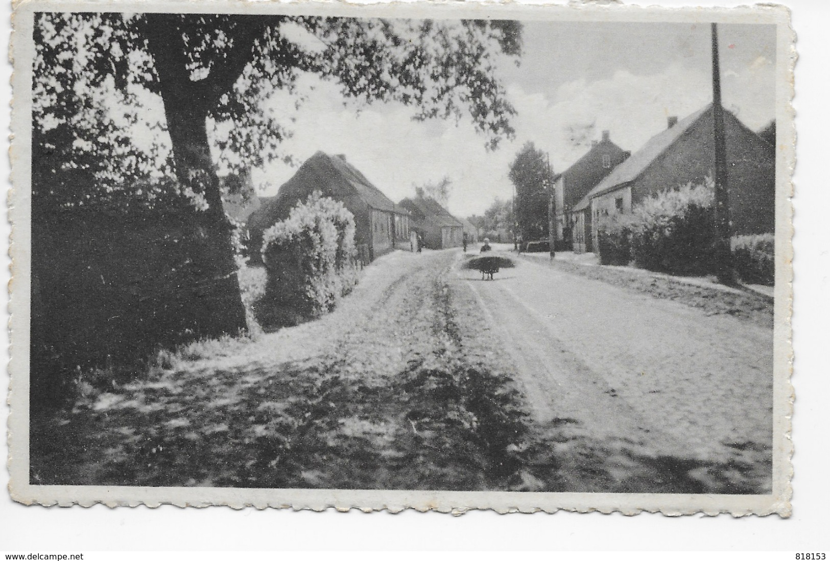 Bel-Geel  De Oude Dorpstraat - Geel