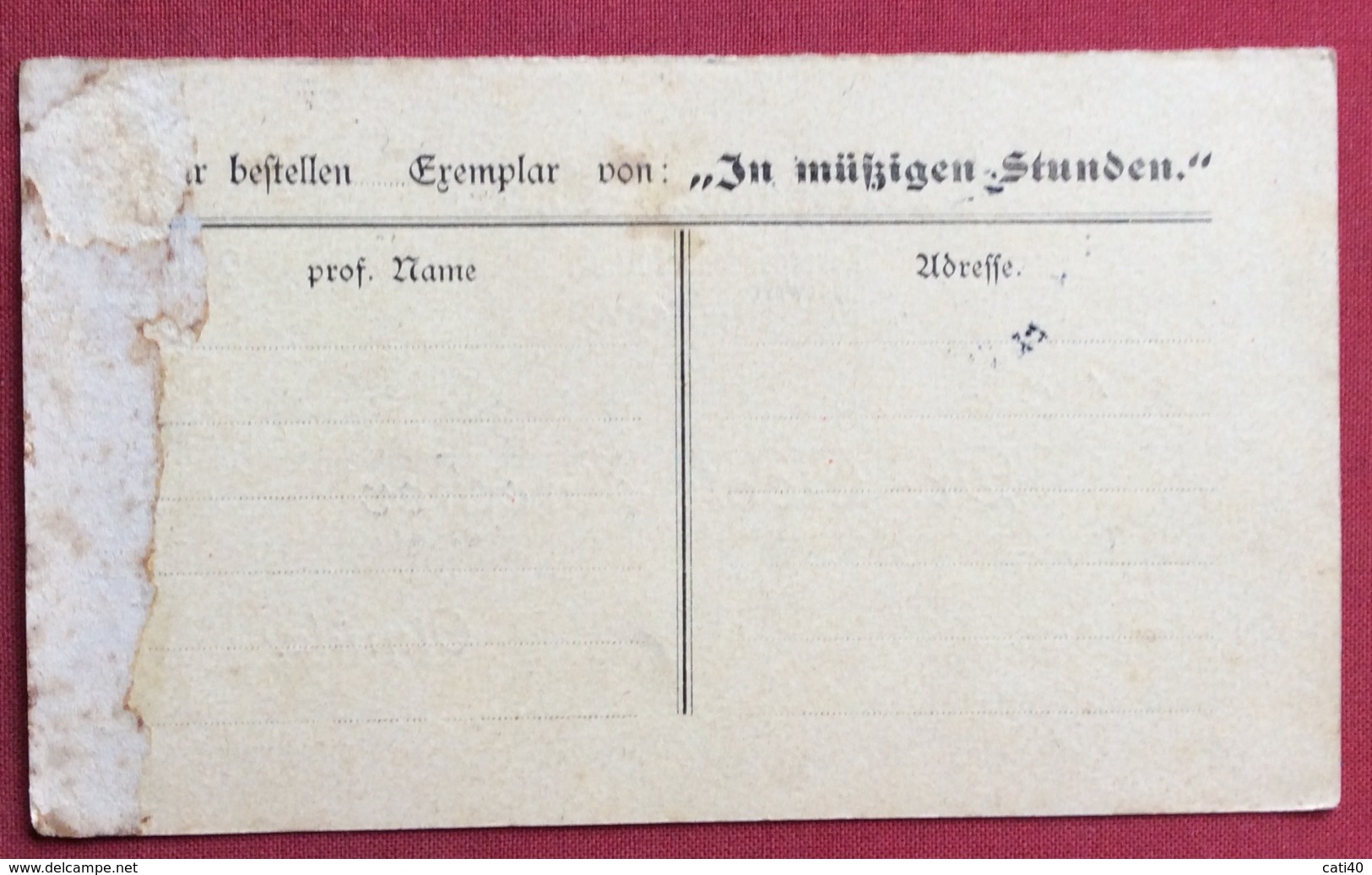 AUSTRIA CORRESPONDENZ - KARTE INTERO POSTALE 2 Kr CON STAMPA PRIVATA DR.ADOLF BRECHER - Nuovi