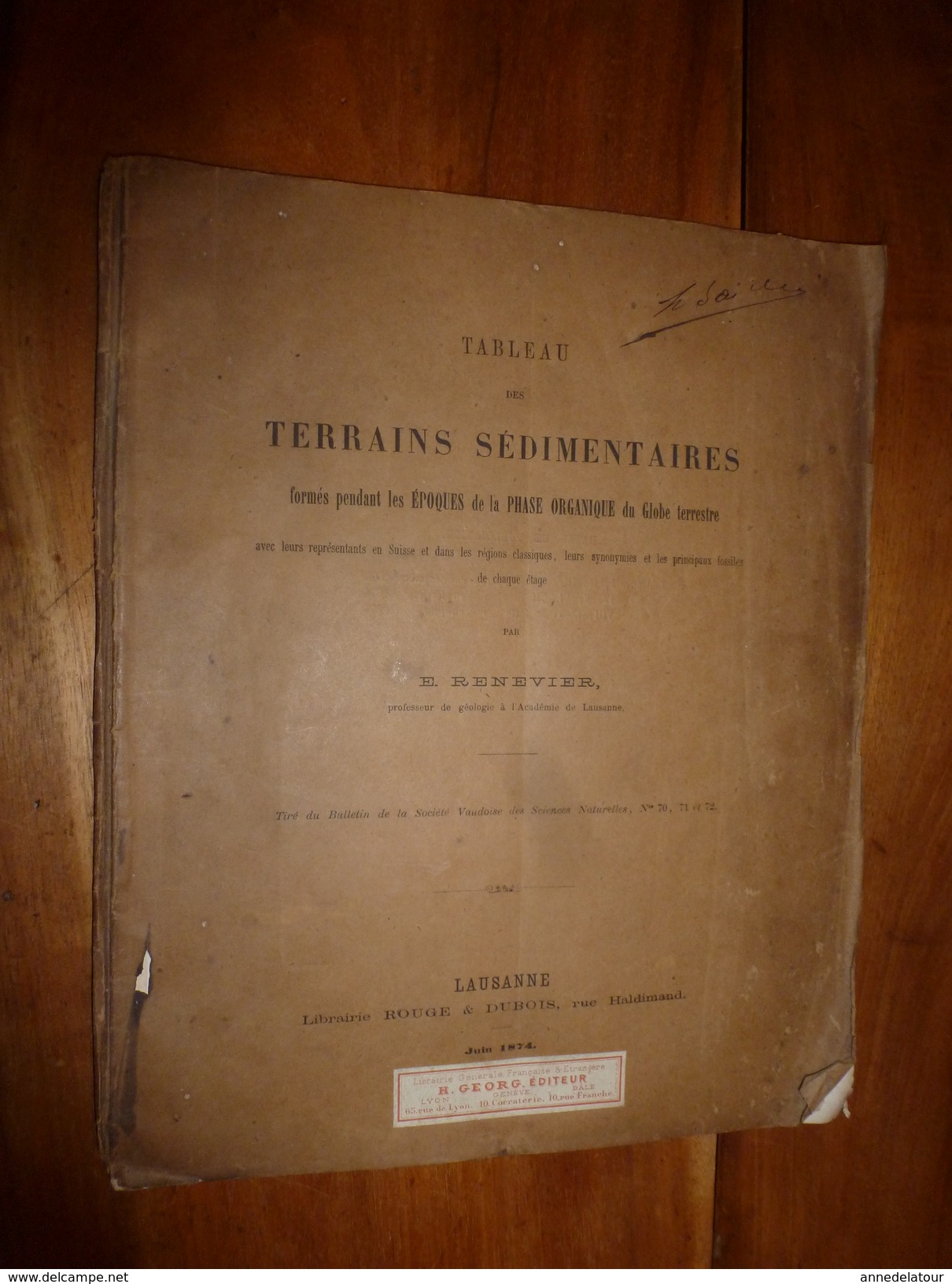 1874 TABLEAU Des TERRAINS SEDIMENTAIRES époques PHASE ORGANIQUE Du Globe Terrestre, Suisse Etc, Par Renevier - Lausanne - Other & Unclassified