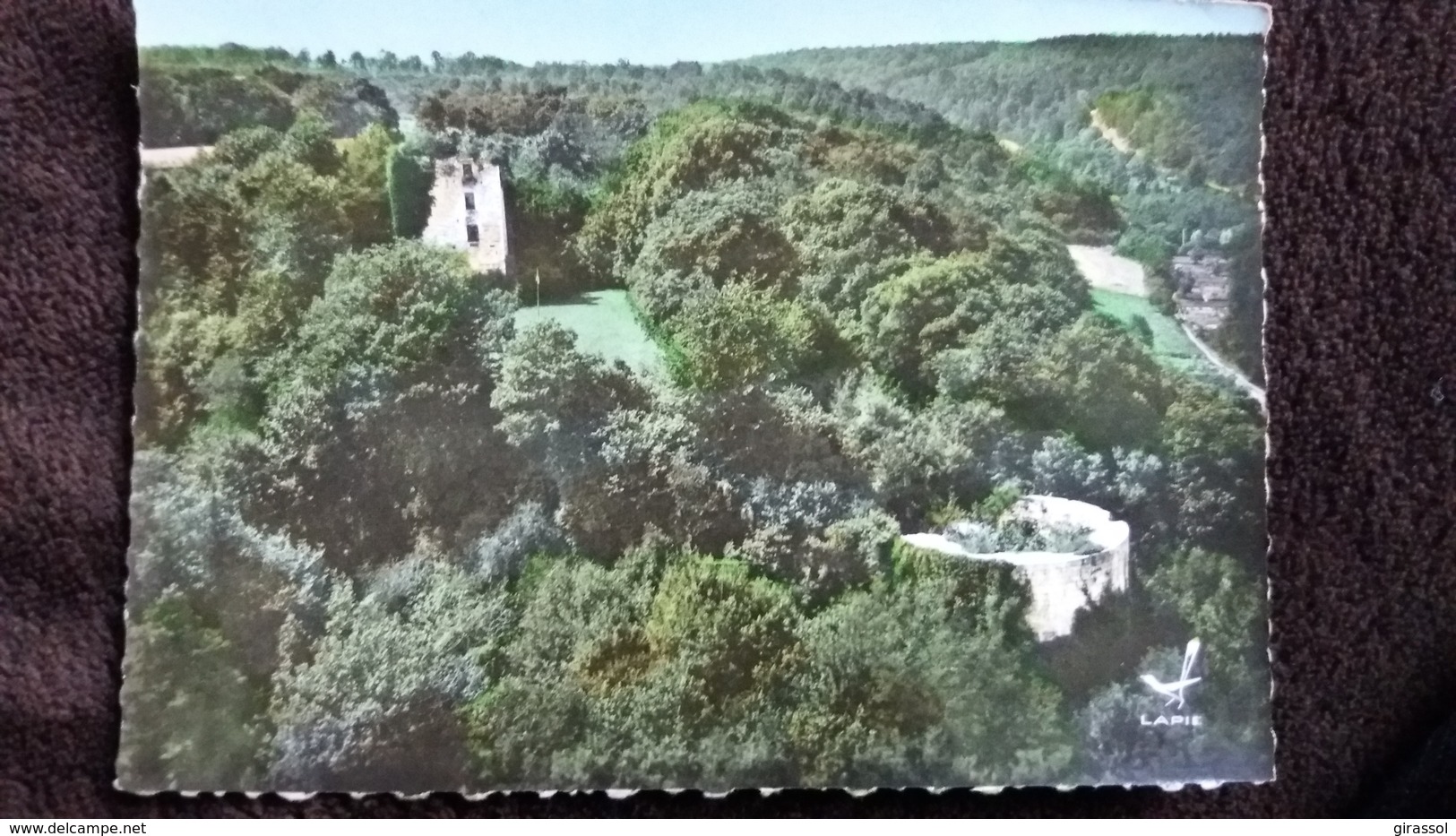 CPSM VIGNORY 52 HAUTE MARNE LES RUINES DU CHATEAU EN AVION AU DESSUS DE LAPIE 4K - Vignory