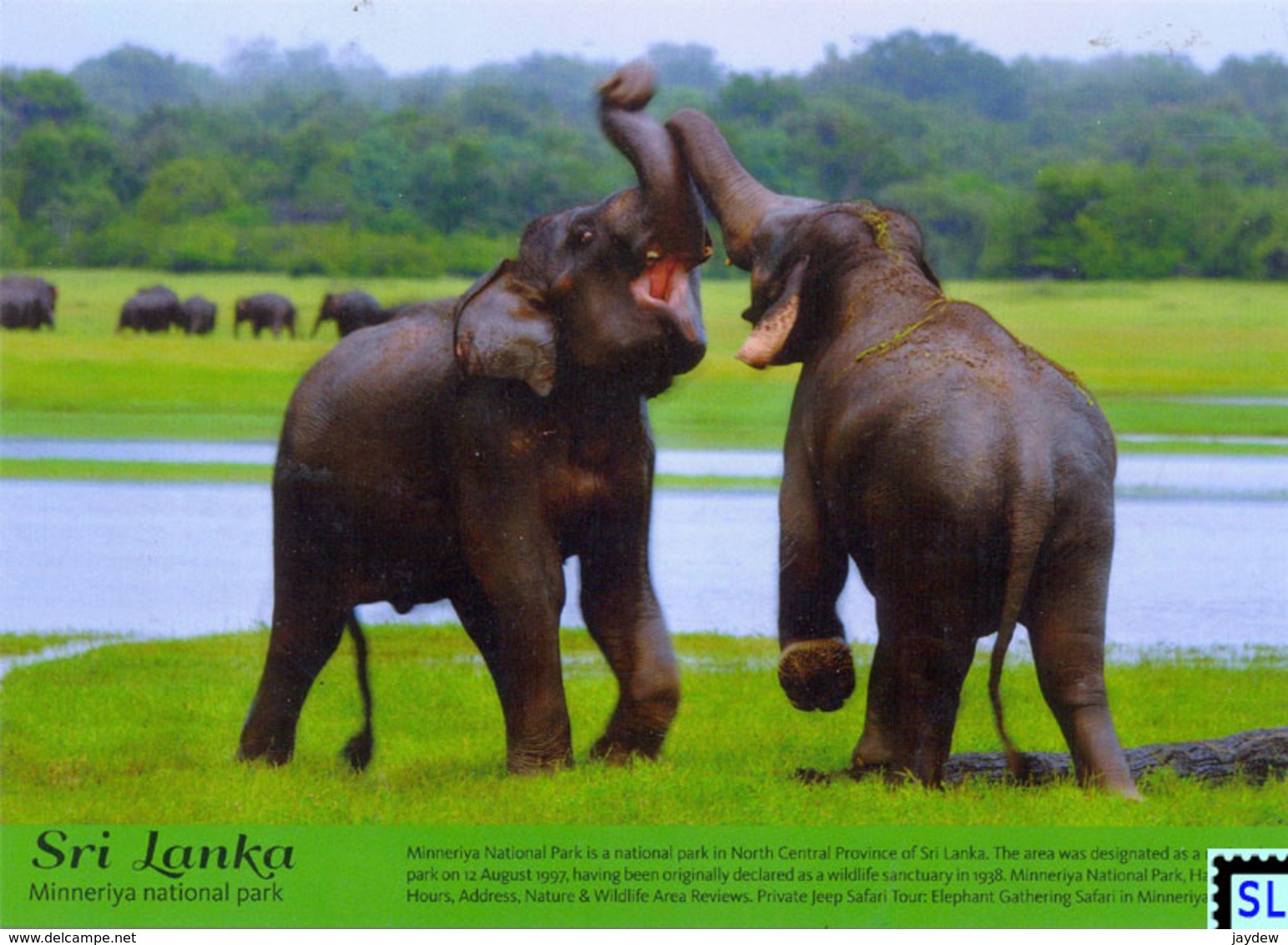 Sri Lanka Postcards, Minneriya National Park, Elephants, Postcrossing - Sri Lanka (Ceylon)